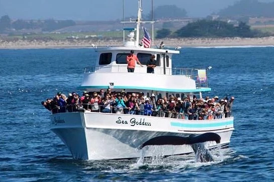  boat rentals California MOSS LANDING California     65 