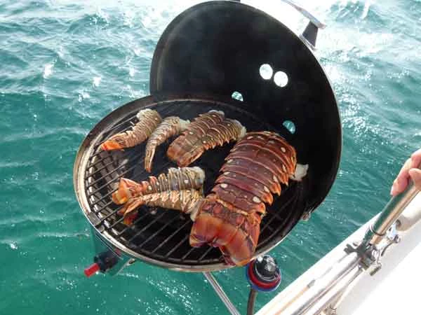  boat rentals Abaco Marsh Harbour Abaco  Wharram Tiki 2001 38 