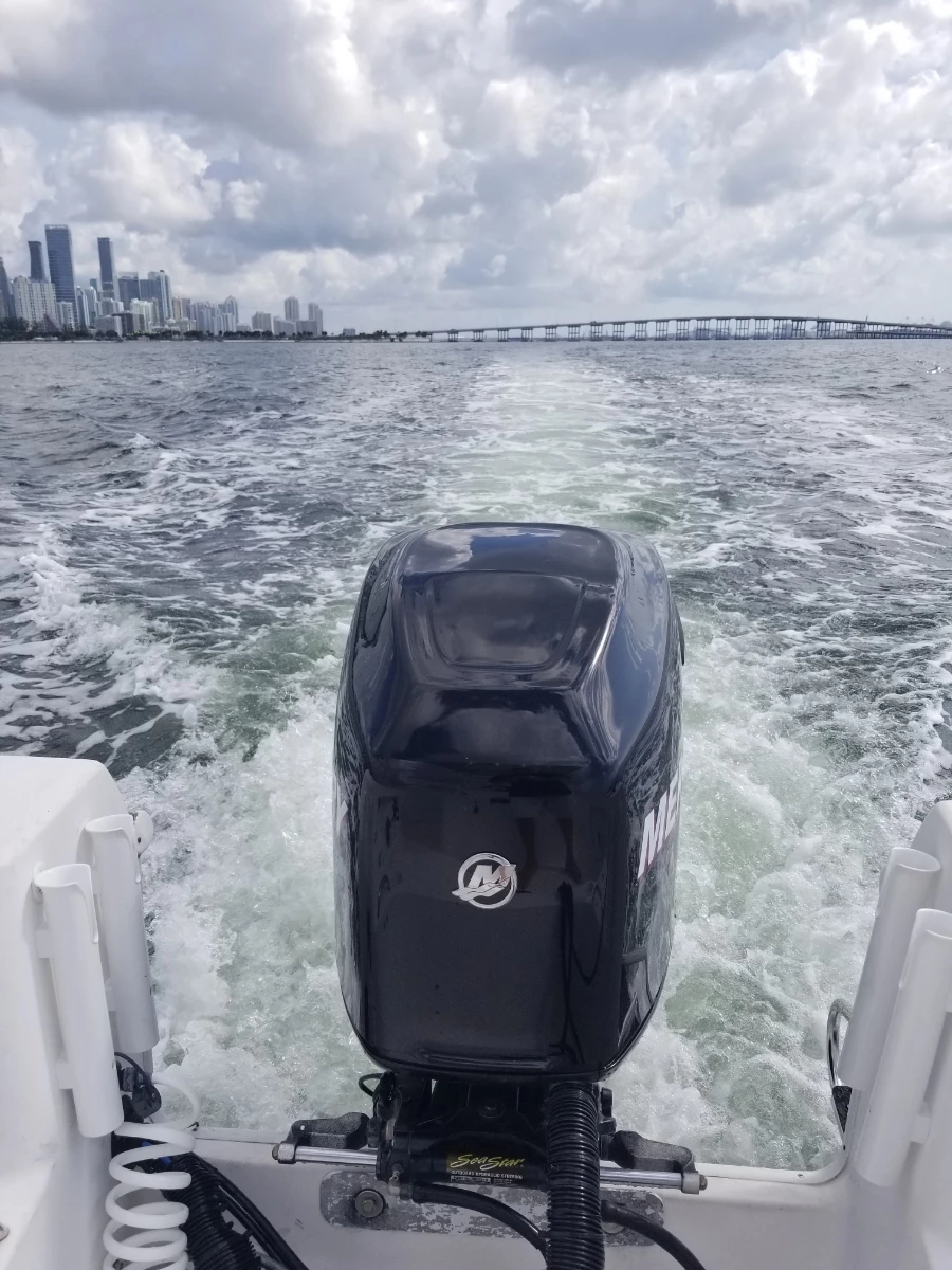  boat rentals Florida Miami Florida  Pro Line 23 Sport 2005 23 