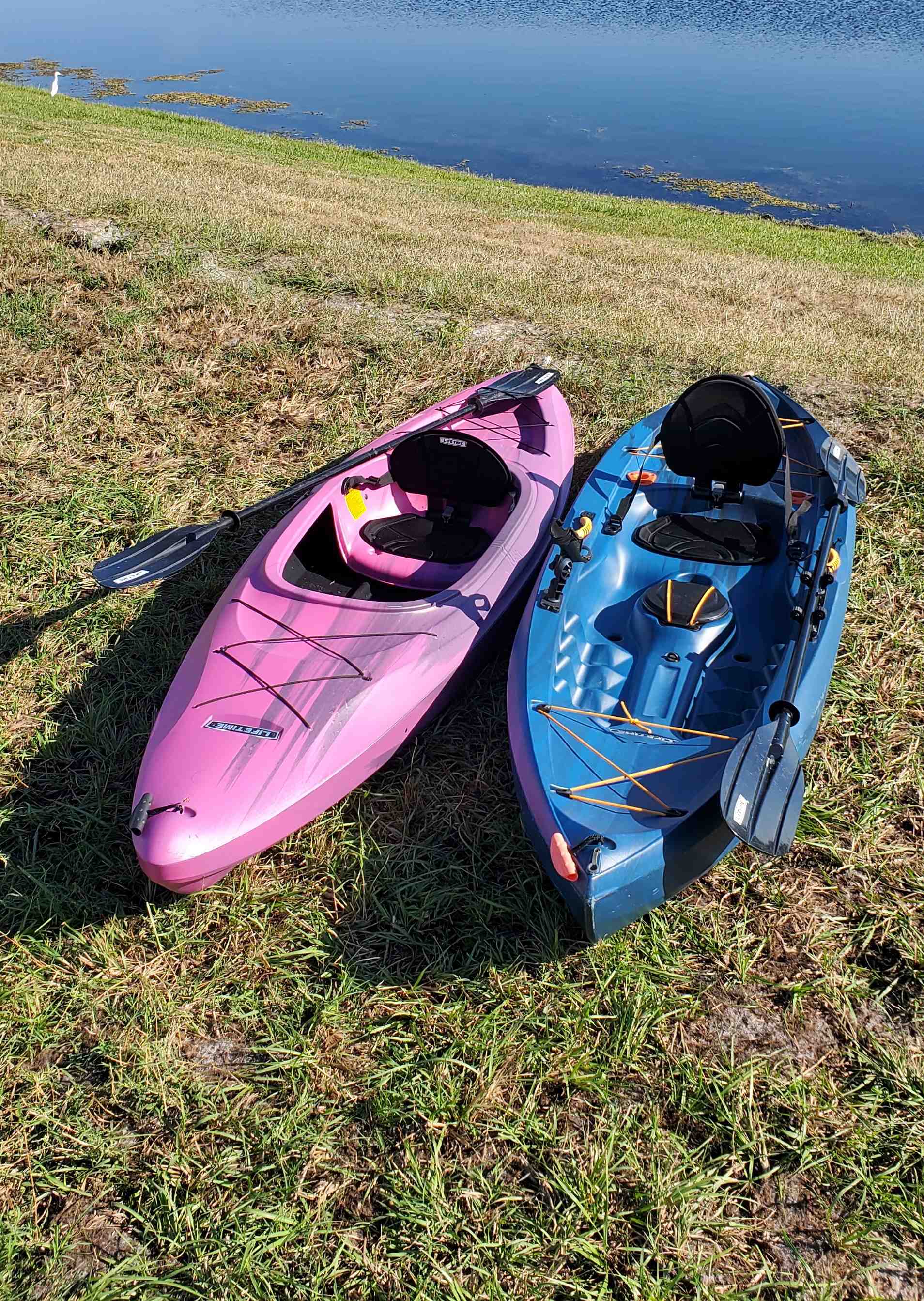 Kayaks boat rentals Florida RUSKIN Florida  Lifetime Kayaks 2021 10 