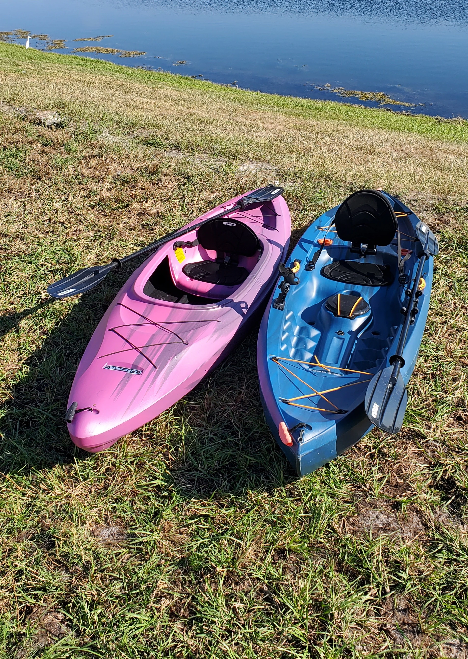  boat rentals Florida RUSKIN Florida  Lifetime Kayaks 2021 10 