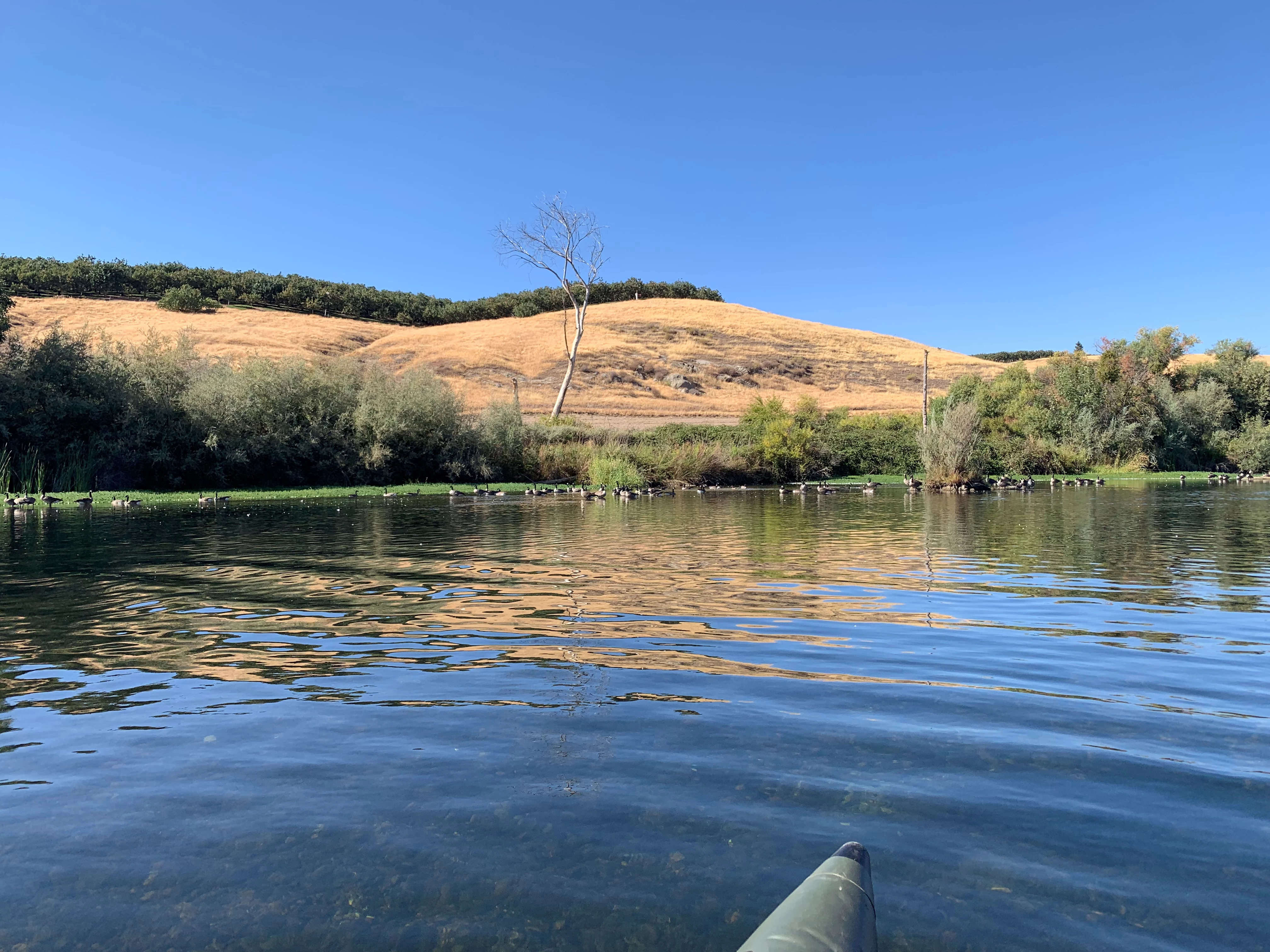 Get to places boats can’t take you boat rentals California FRESNO California  Aquos Back back series 10.2 2021 10.2 