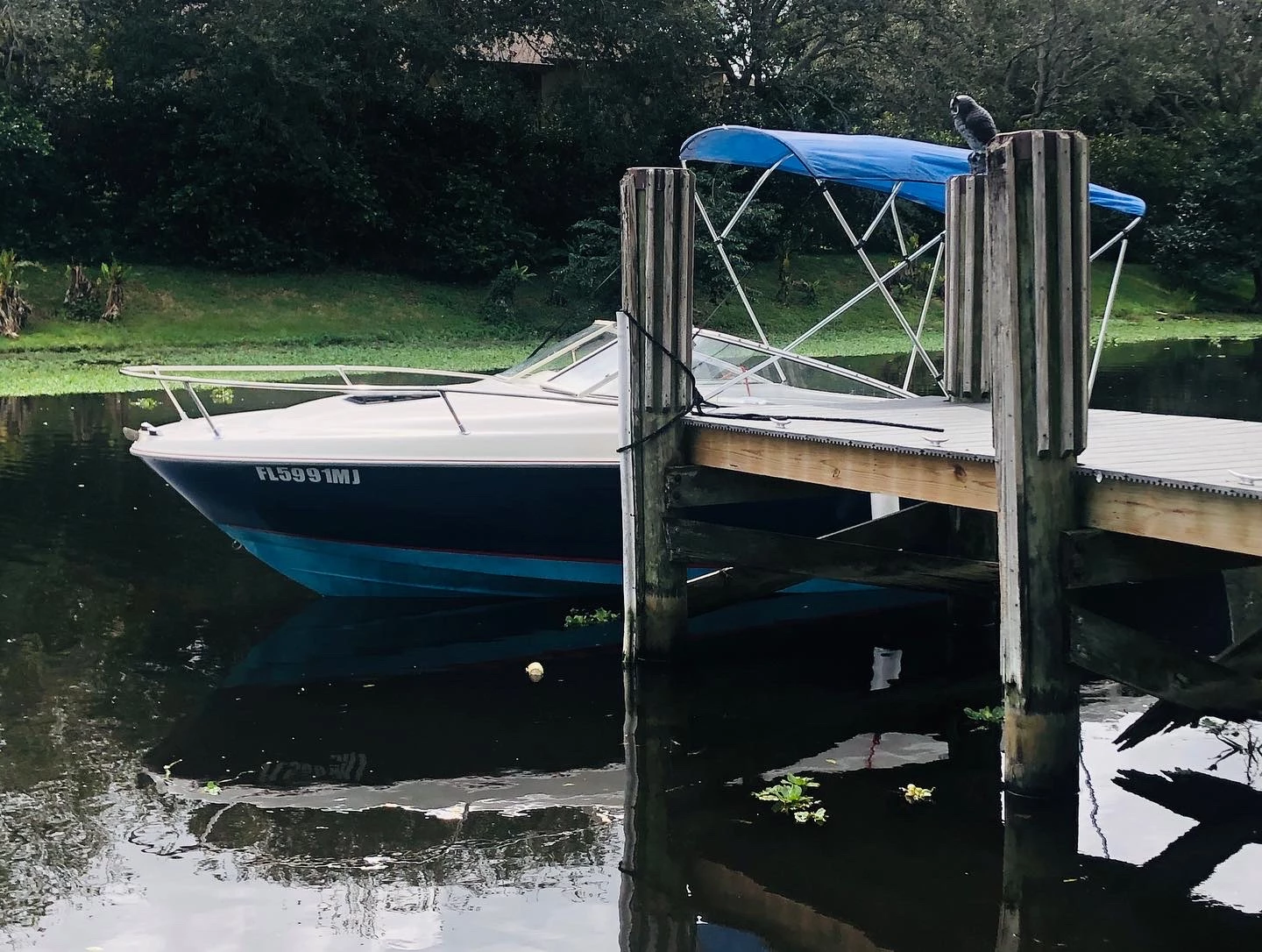  boat rentals Florida LAKE WORTH Florida  Bayliner Cuddy Capri 2152 2001 21.8 