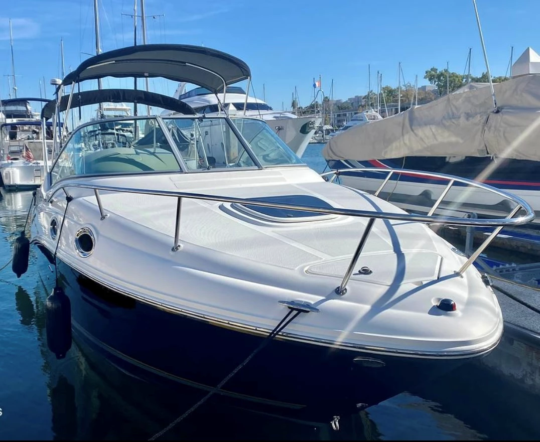  boat rentals     Sea Ray Sundancer 2011 25 