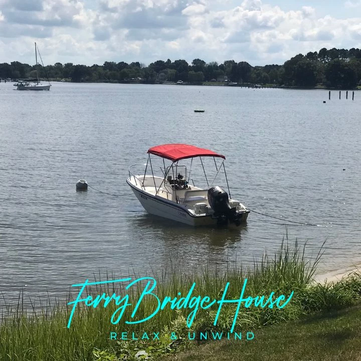 boat on mooring at FBH boat rentals Maryland EASTON Maryland  Boston Whaler Dauntless 1999 16 