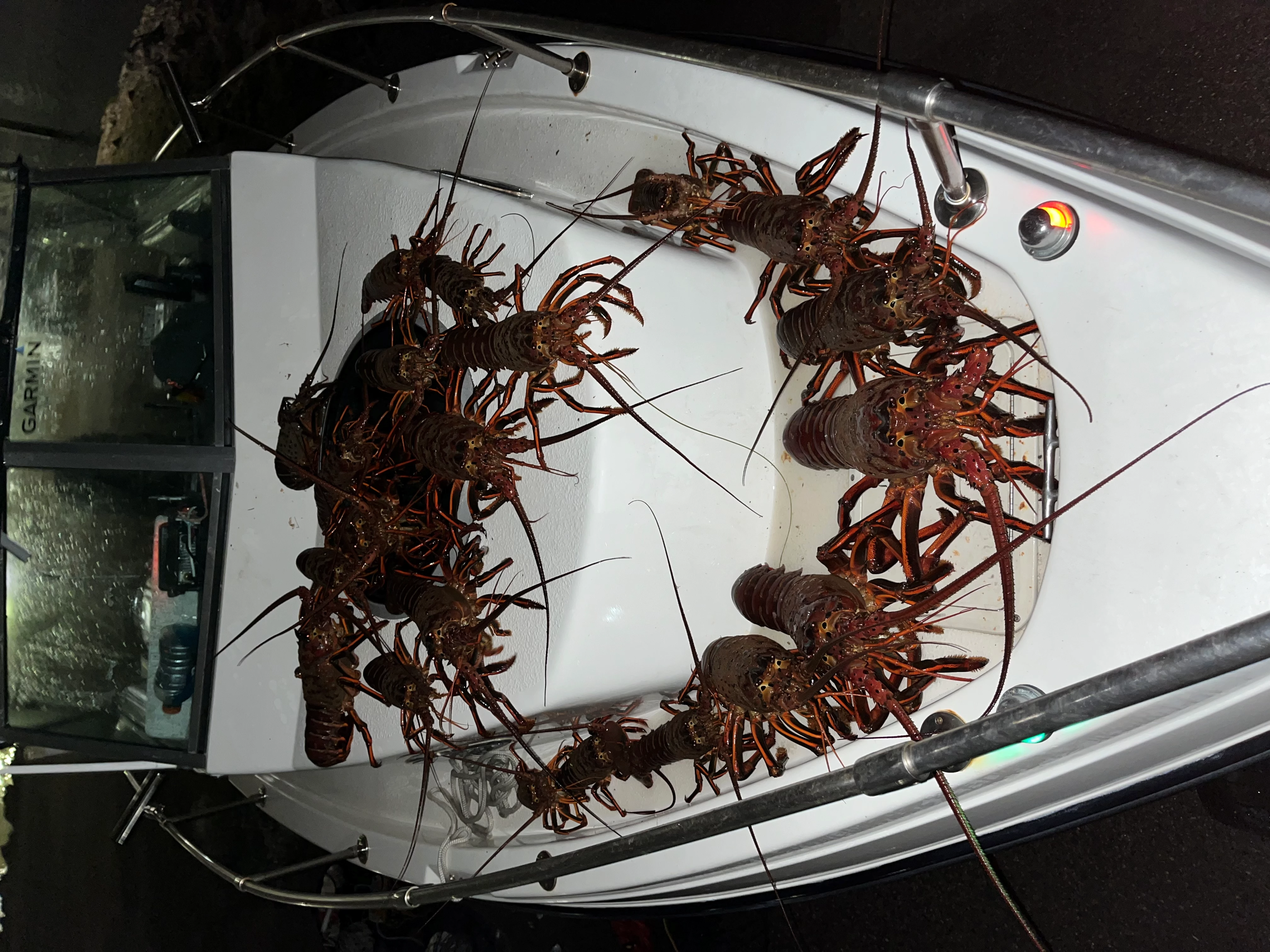 We offer lobster trips along with fishing boat rentals California MOORPARK California  Seaswirl 1850 WA 1999 20 