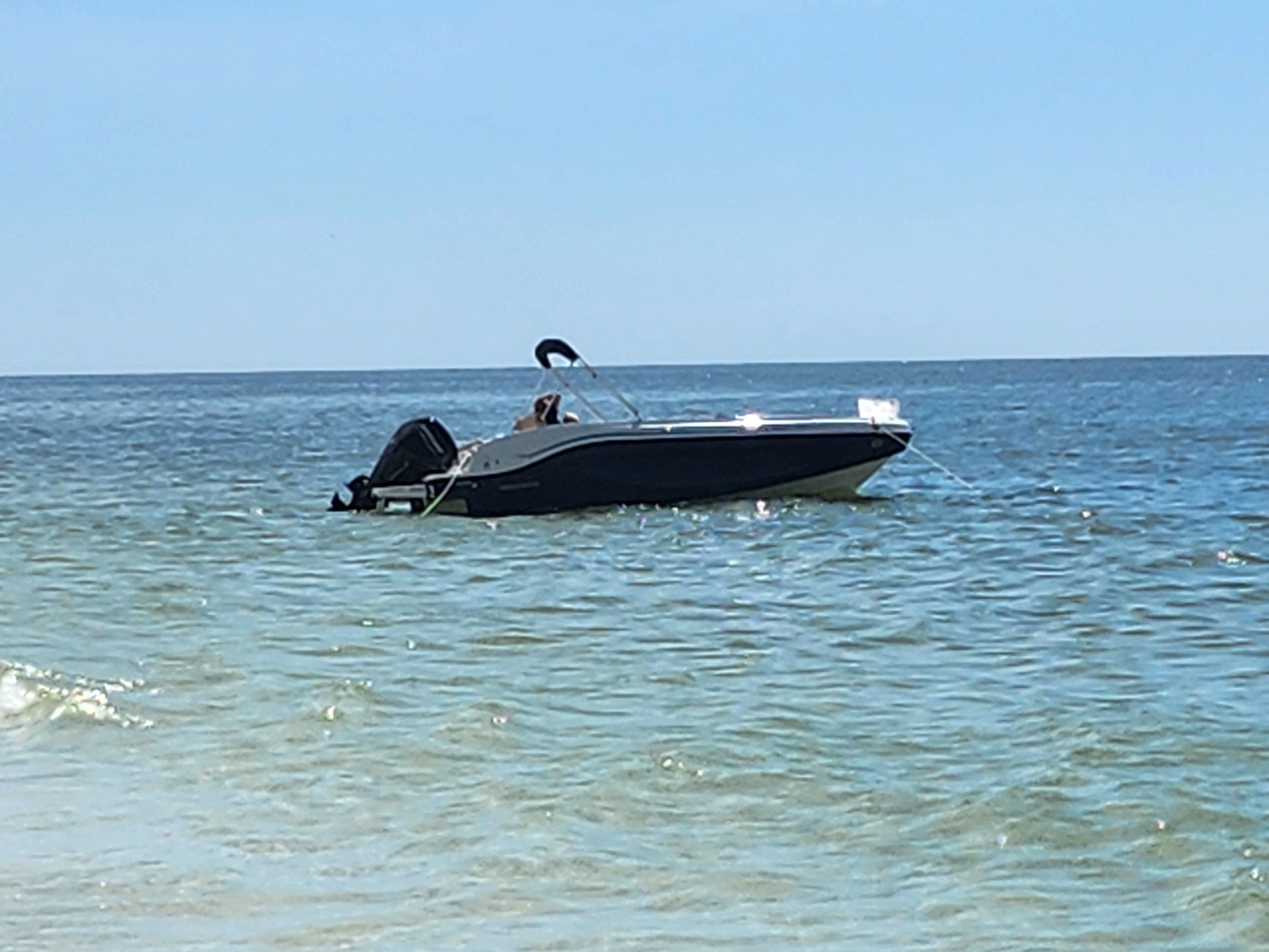  boat rentals Florida SARASOTA Florida  Bayliner DX2000 2022 20 