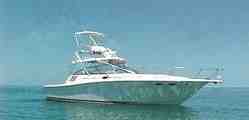  boat rentals    Miami Sea Ray Cabin Cruiser 0 37' 