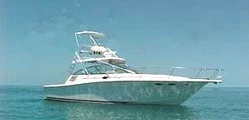  boat rentals    Miami Sea Ray Cabin Cruiser 0 37